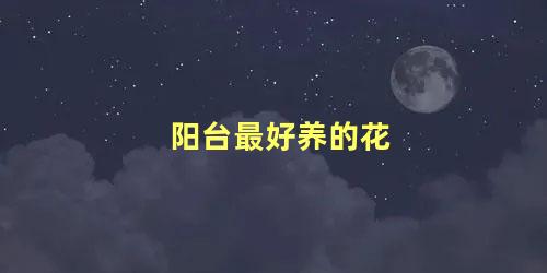 阳台上养什么花好看(阳台上比较好养的花)